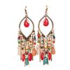 Ear Decor Ethnic Luxury