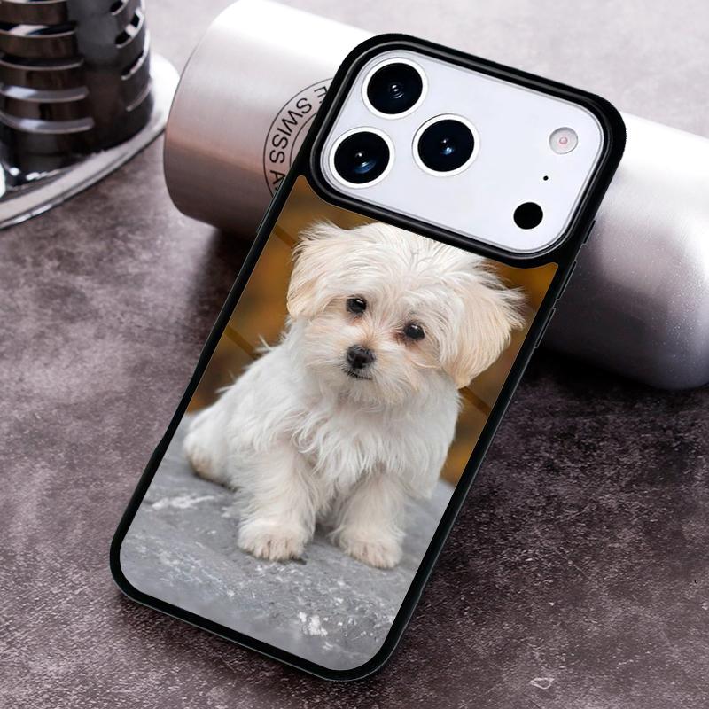 Cartoon Maltese Dog soft Phone Case For iPhone 17 16 15 14 13 12 11 Pro Max Plus 17Air Soft Silicone Cover