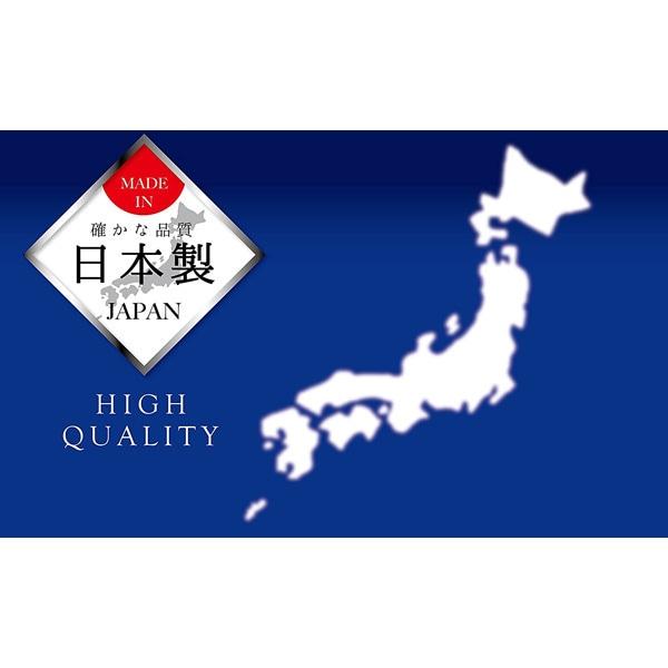 CaptaIn Stag Ue 0095 [cielo Ящик-холодильник Вместимость 22л Матовый синий Сделано в Японии]