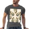 Oyster TShirt NonShrink Basic Cotton TShirt
