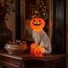Halloween Party Table Centerpiece Lighted Pumpkin Cat Figurine, Spooky Tabletop Resin Sculpture, Autumn Seasonal Room Accent Fall Ornament for Indoor