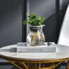 Plastic Aquatic Plant Container Self Watering Hydroponic Flower Pot Mini Fish Tank   Planter Pot