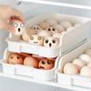 Multi-Layered Refrigerator Egg Storage Drawer