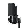 Shure SM4-K-KIT Condenser Microphone Kit Shock Mount Pop Filter Included: XLR Unidirectional Professional Recording Vocal Instrument Musician YouTube