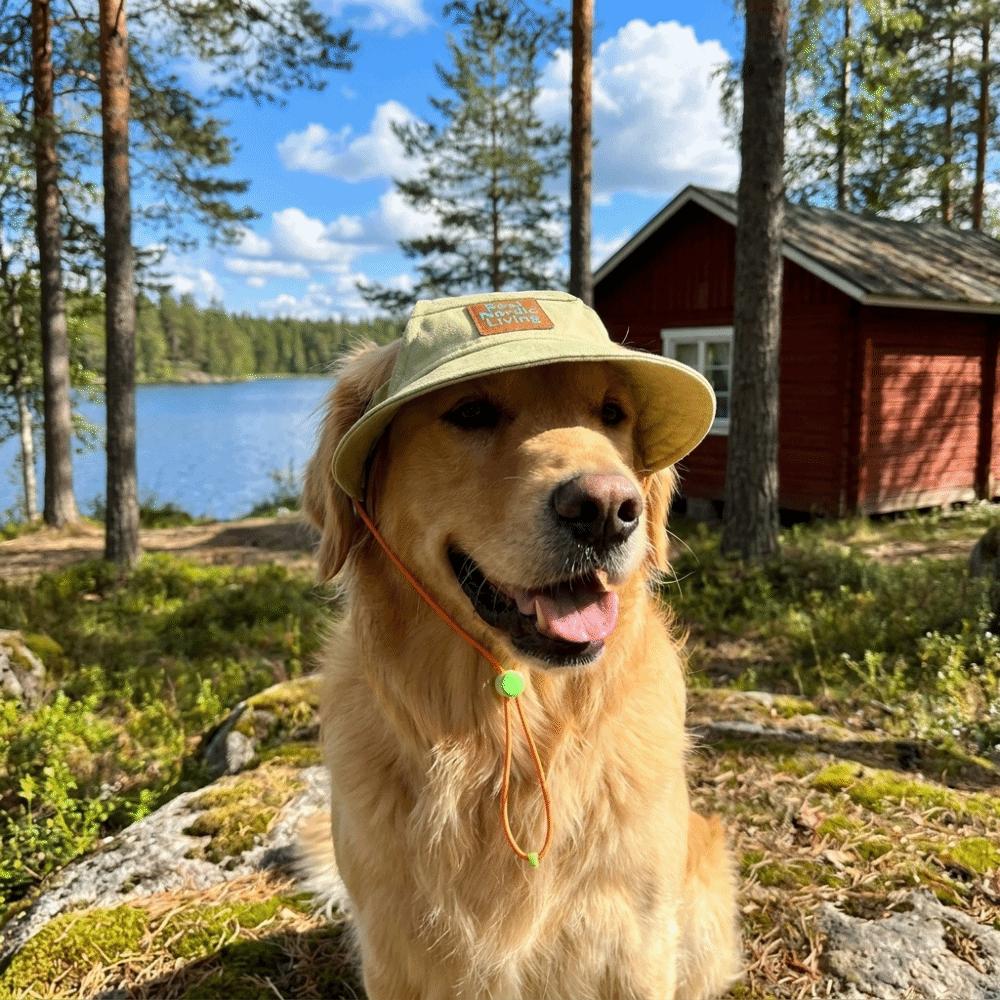 Sun Protection Pet Sunshade Hat Adjustable Pet Baseball Cap Dog Fisherman Hat Sun Protection