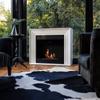 Portal Bioethanol fireplace PLANET TÜV white