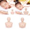 Training Mannequin Practice Face Head Shoulder with Acupoint Display Props Massage Practice Tool