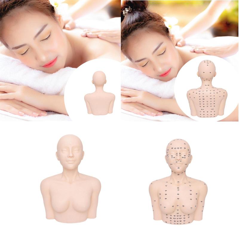 Training Mannequin Practice Face Head Shoulder with Acupoint Display Props Massage Practice Tool