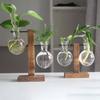 Hydroponic Plant Glass Vase, Modern Desktop Plant Terrarium Planter Bulb Water Planting Propagation Planters Hydroponics Plants