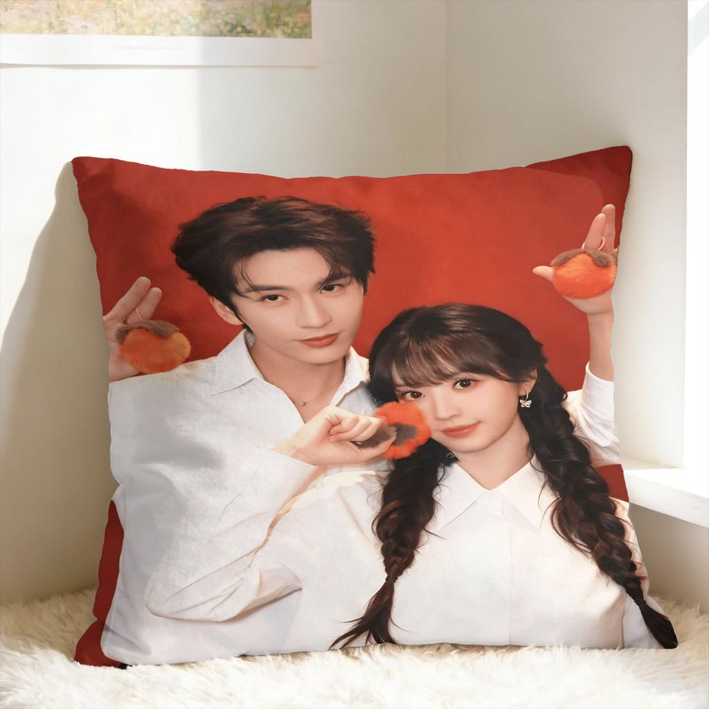 Pillow Case Pursuit Of Jade Comfy Zhang Linghe Tian Xiwei Pillow Cover For Sofa Bedroom Home Decor Novelty Pillowcases