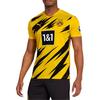 Puma Мужская футболка с коротким рукавом Borussia Dortmund Cyber-Yellow 757156-01