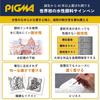 Набор кистей-ручек Sakura Pigma, 10 цветов, Черный ESDK-10#49 (0.05/0.1/0.2/0.3/0.4/0.5/0.8/1/2/3мм)