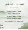 Ouruoxin Chinese style Guanle Crepe Silk Top Women's 100 Mulberry Silk Short Sleeve Spring/Summer Solid Color Stand Breathable T-shirt