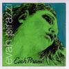 Pirastro Evah Pirazzi Violin String Eva Pirazzi E, A, D, G String Set E String: Ball (Children's Size: 34-12)