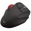 Nakabayashi Digio2 Wireless Mouse with Trackball, 5-Button Optical, Black, Z8645