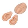 Silicone Ear Model Novice Simulated 3D Nose and Mouth Model Display Prop Teaching Tool for Piercing