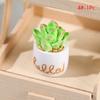 1Set 1:12 Dollhouse Miniature Succulent Plant Potted Cactu Landscape Home Decor