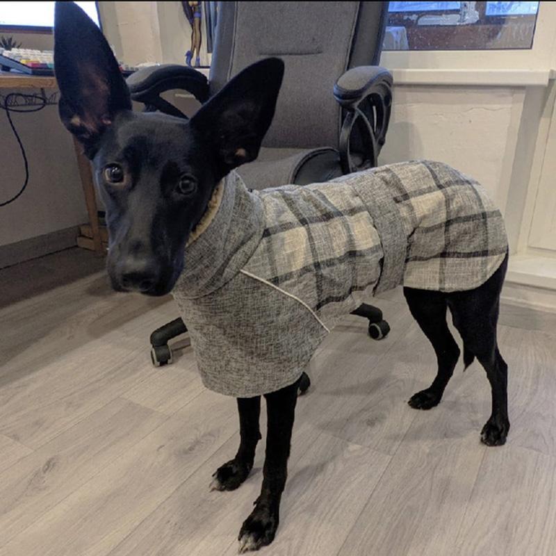 Warm Fleece Winter Big Dog Clothes Fashion Plaid Print Pet Jacket with Belt for Medium Large Dogs Greyhound Weimaraner Clothing