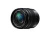 Panasonic Standard Zoom Lens for Micro Four Thirds Lumix G VARIO 12-60mm/F3.5-5.6 ASPH./POWER O.I.S H-FS12060