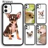 Чехол для телефона Krajews с изображением чихуахуа и цветком для iPhone 14 5 6s 7 8 plus X XR XS 11 12 13 pro max Samsung S21 S22 ultra