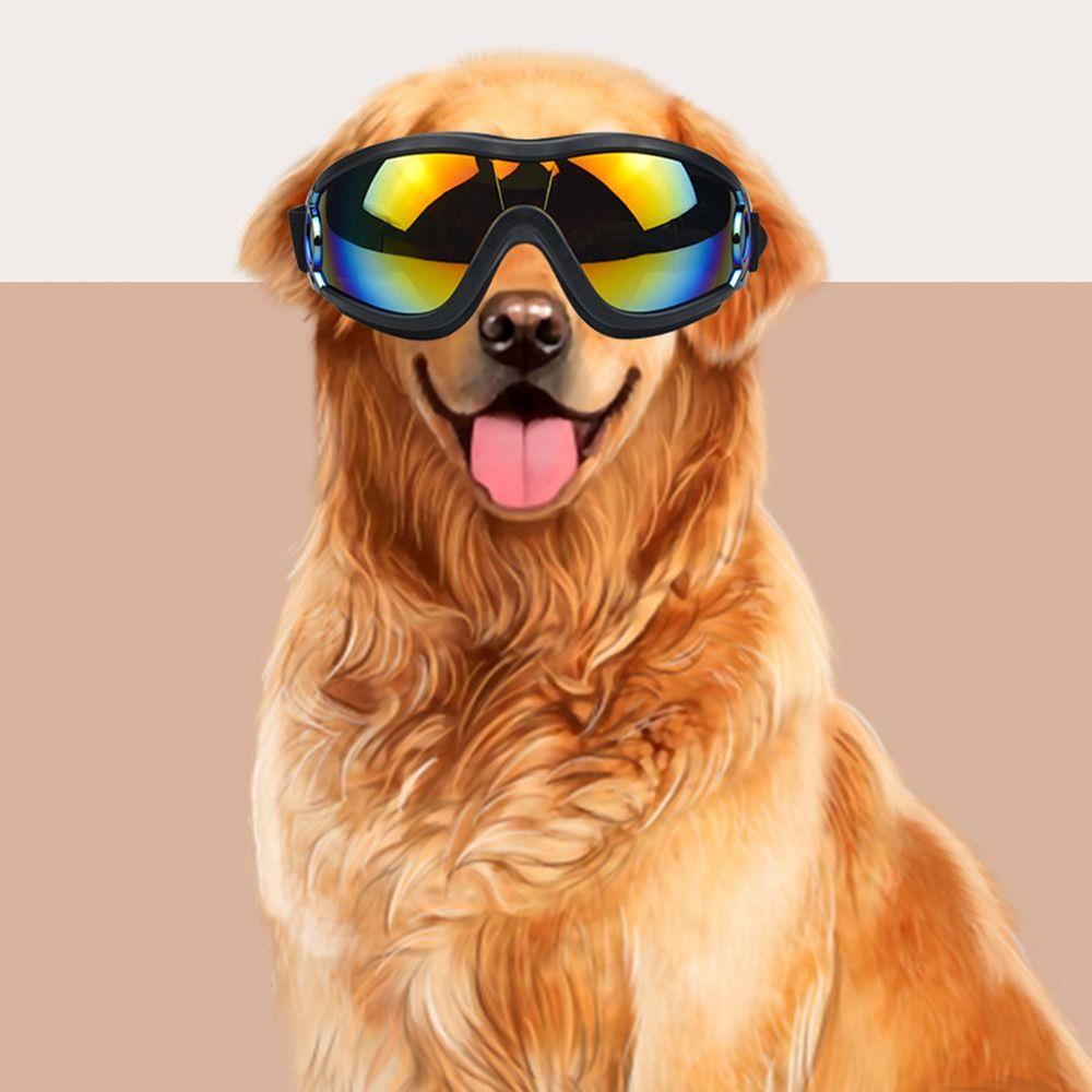 Adjustable Strap Dog Sunglasses Anti-Fog Pet Glasses Dog Eye Wear Protection Medium Large Dogs
