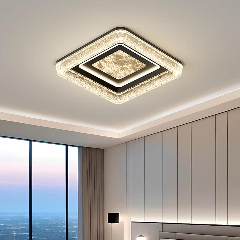 Oeny Modern LED Ceiling Lamp
