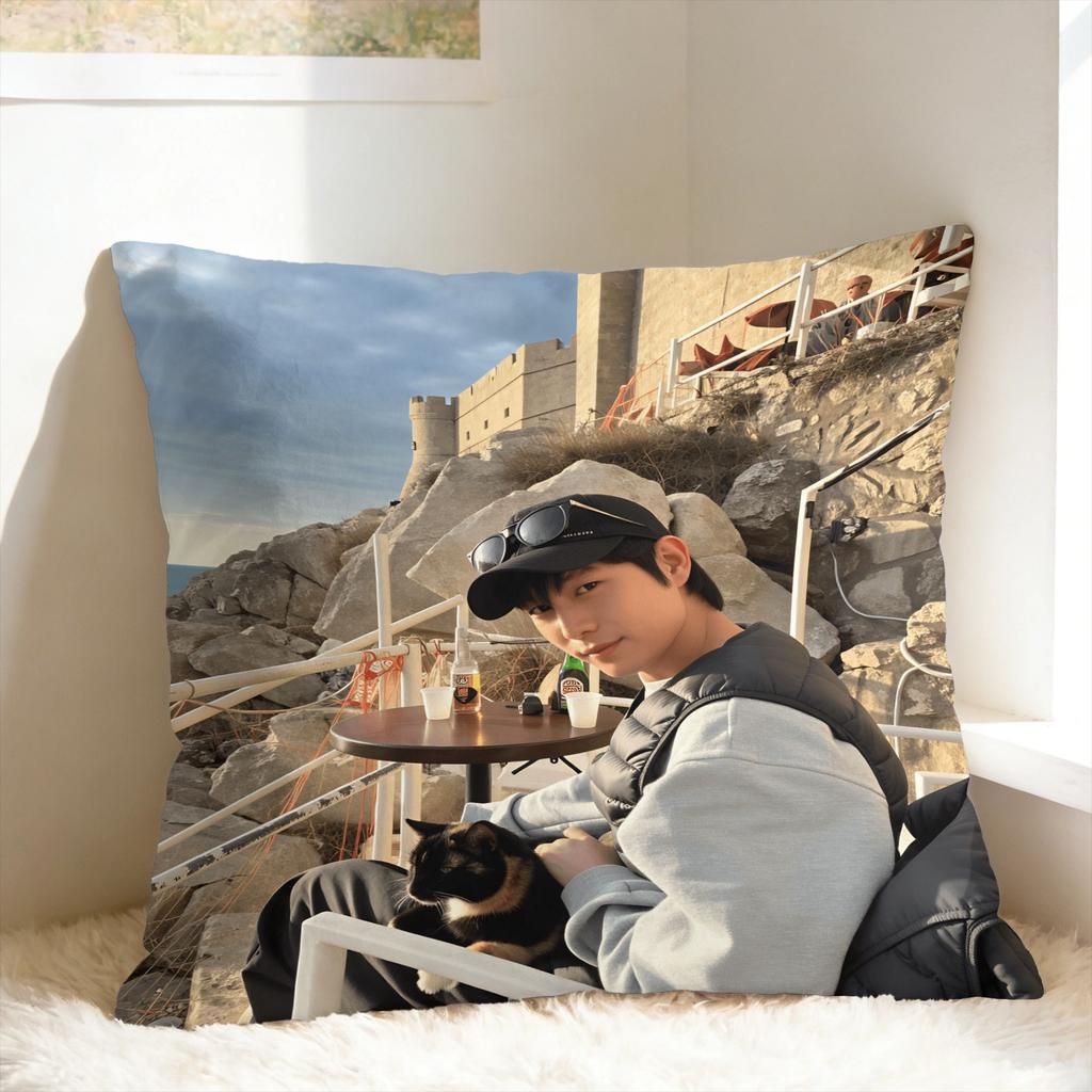 Pillow Case Y-Young-Dae Kim Soft Pillow Cover For Wedding Party Home Decor Morden Pillowcases