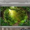 2D Lush Rainforest Backdrop Photography Background Banner