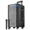 SAST Портативная Bluetooth-колонка для караоке с двумя микрофонами, штекер CN (адаптер в комплекте)