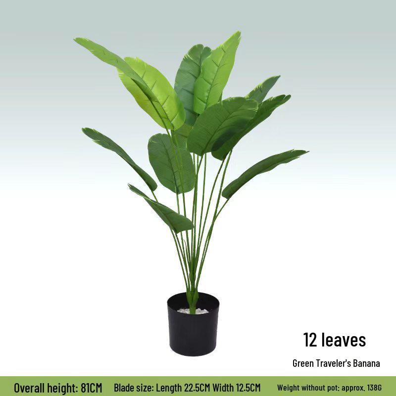 Nordic Style Large Potted Banana Plant Bonsai for Indoor Living Room Decor