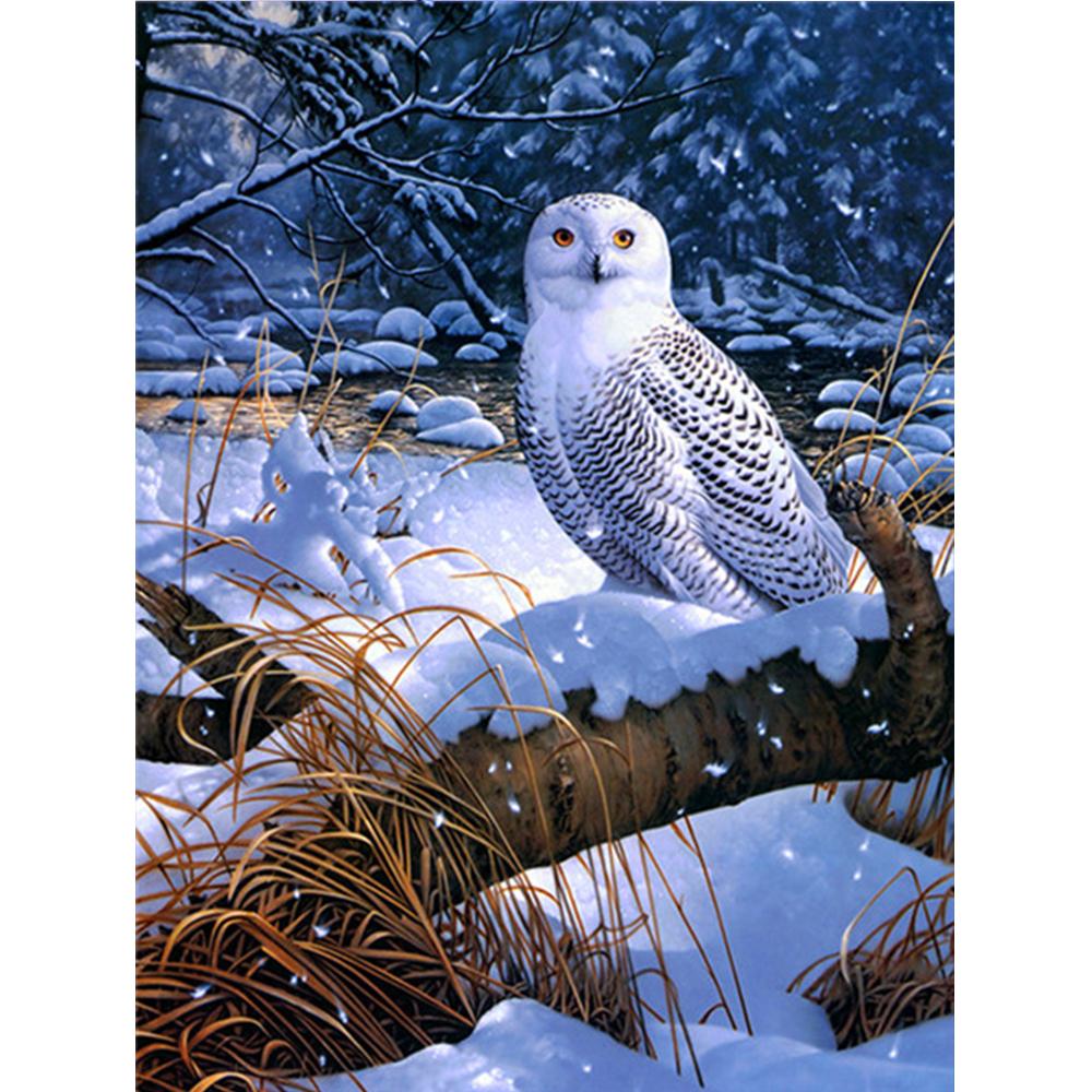 Алмазная картина Новая Сова 5D Алмазная вышивка Крестом Животные Стразы Мозаика Распродажа Decortion