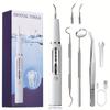 Электрический очиститель зубов, Электрический очиститель зубов со светодиодной подсветкой, 3 режима перезаряжаемого набора для чистки зубов со стоматологическими инструментами, 2 сменные головки