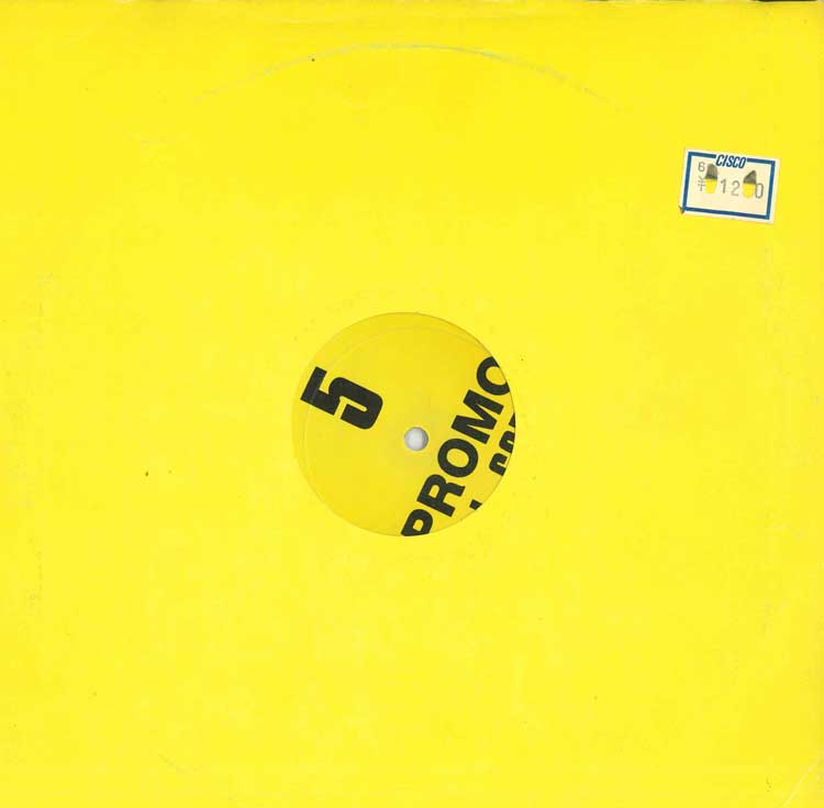 10inch Record DUB MASTER X  Dub Wa Self Remix No5 DX005 NOT ON LABEL 1995 Japan Japanese Club Dance Used