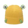 Autumn and winter Internet celebrity knitted hat female cute cartoon frog ear protector pullover hat wool hat female 2025
