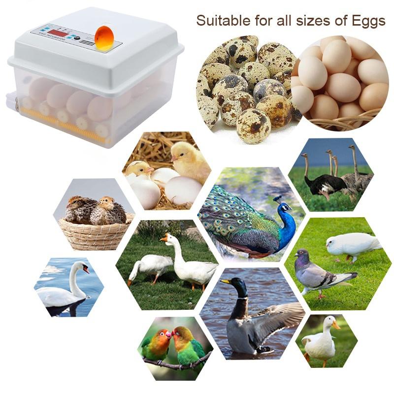 110V/220V Eggs Incubator Brooder Bird Quail Incubator Chick Hatchery Incubator Poultry Hatcher Turner Automatic Farm Incubation Tools