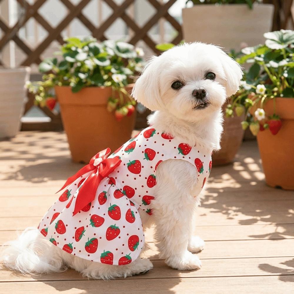 Thin Pet Skirt Lightweight Cat Apparel Skin-friendly Dog Dress Daily Wear