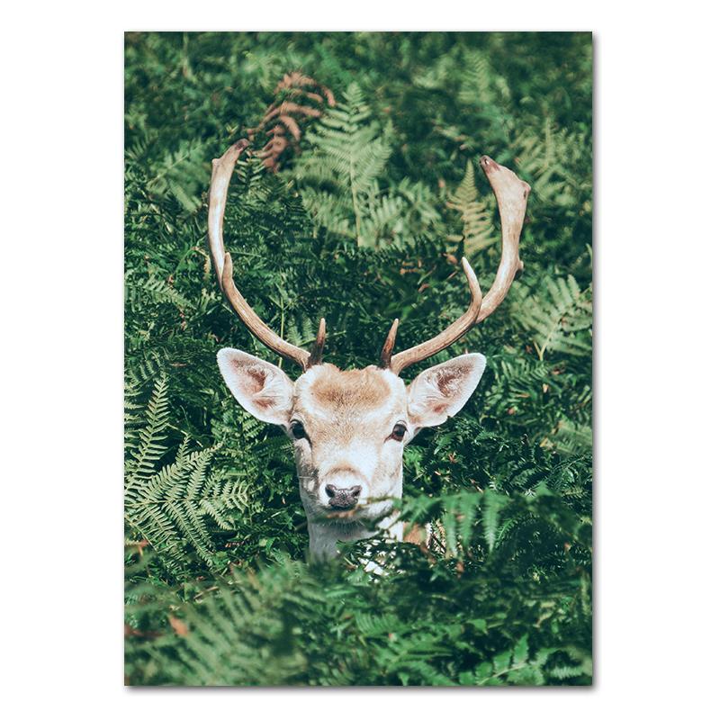 Весенние цветы тюльпаны лимон природа постеры принты джунгли олень велосипед настенные картины холст картины скандинавский домашний декор комнаты