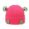 Autumn and winter Internet celebrity knitted hat female cute cartoon frog ear protector pullover hat wool hat female 2025