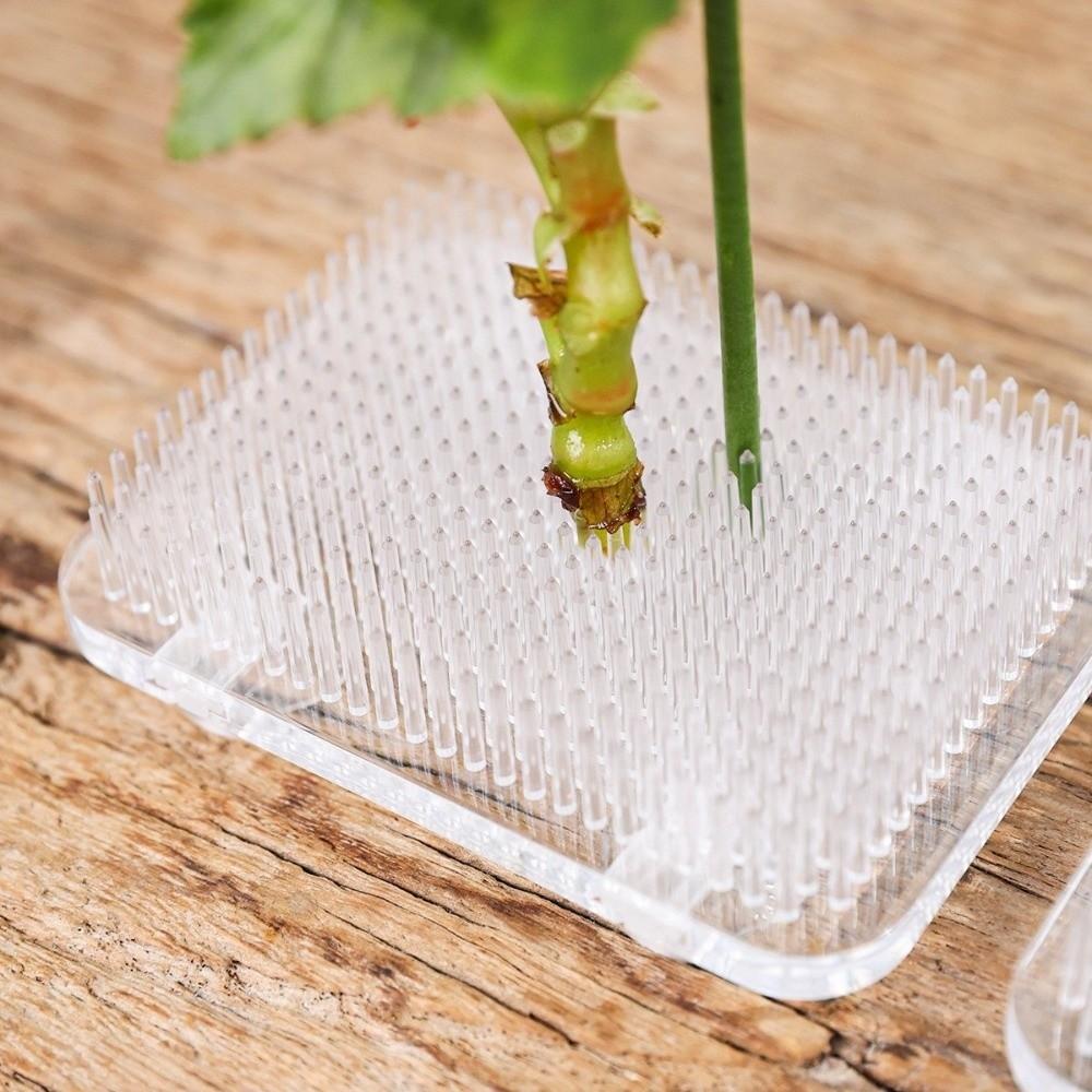 Suction Cup Flower Arranger Rectangle Floral Fixation Base Pin Frog Holder Art Fixed Arranging