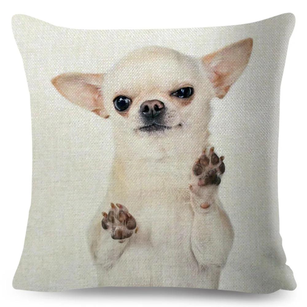 Милая маленькая собачка чихуахуа наволочка декор прекрасный питомец животное наволочка полиэстер наволочка для дивана дома машины 45х45см