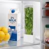 ABS Fresh Herb Keeper White Herb Preserver Saver Durable Produce Keeper Container  Refrigerator