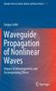 Книга Waveguide Propagation of Nonlinear Waves : Impact of Inhomogeneity and Accompanying Effects : 109