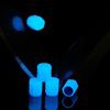 4Pcs Car Accessories Luminous Valve Caps Green Blue Night Glowing  Car Motorcycle Bicycle