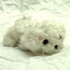 Little Beans Maltese Plush Toy 13cm
