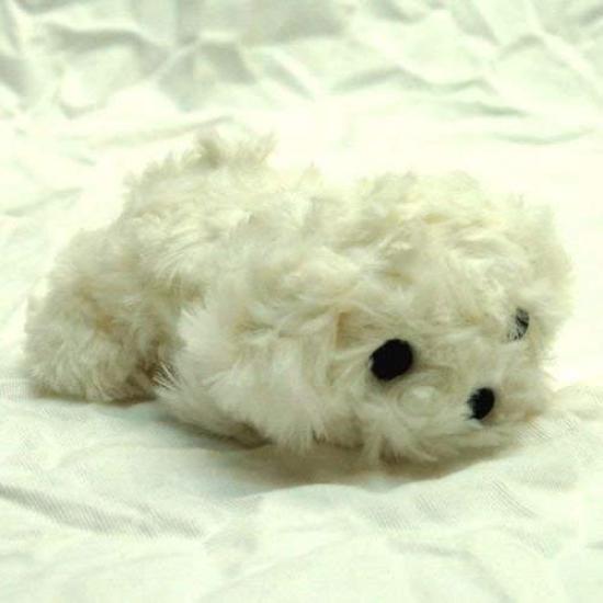 Little Beans Maltese Plush Toy 13cm