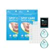 Spot Care Patch Kit 76 Pieces