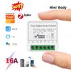 Tuya Zigbee Умный DIY Модуль Переключателя Реле 16A Поддержка Двустороннего Управления Smart Life Управление по Расписанию Работает с Alexa Google Home