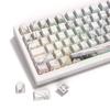 Колпачки клавиш PBT Shine Through Keycaps 131 Keycaps Keycaps Side Print Keycaps Dye Sub Cherry Profile Custom Keycaps for Mechanical Keyboard Double Shot Marble
