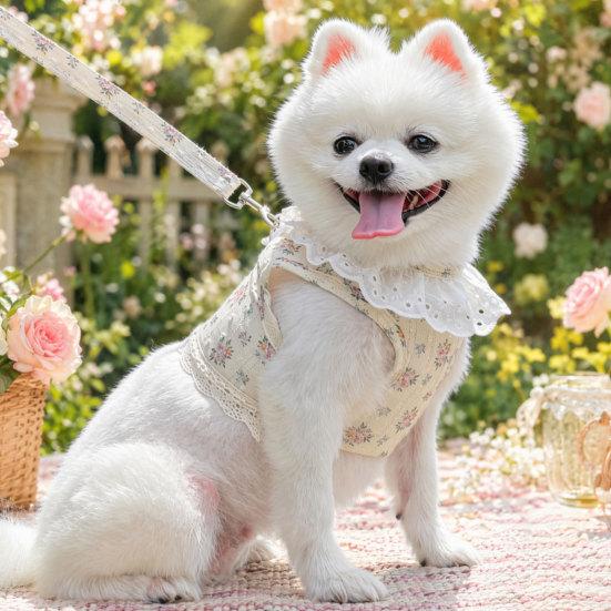 jijijing 1 Set Dog Harness And Leash, Floral with Lace Trim, Breathable Stylish Leash for Small Dogs