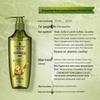 Schwarzkopf Ginger Essence Oil Control Conditioner